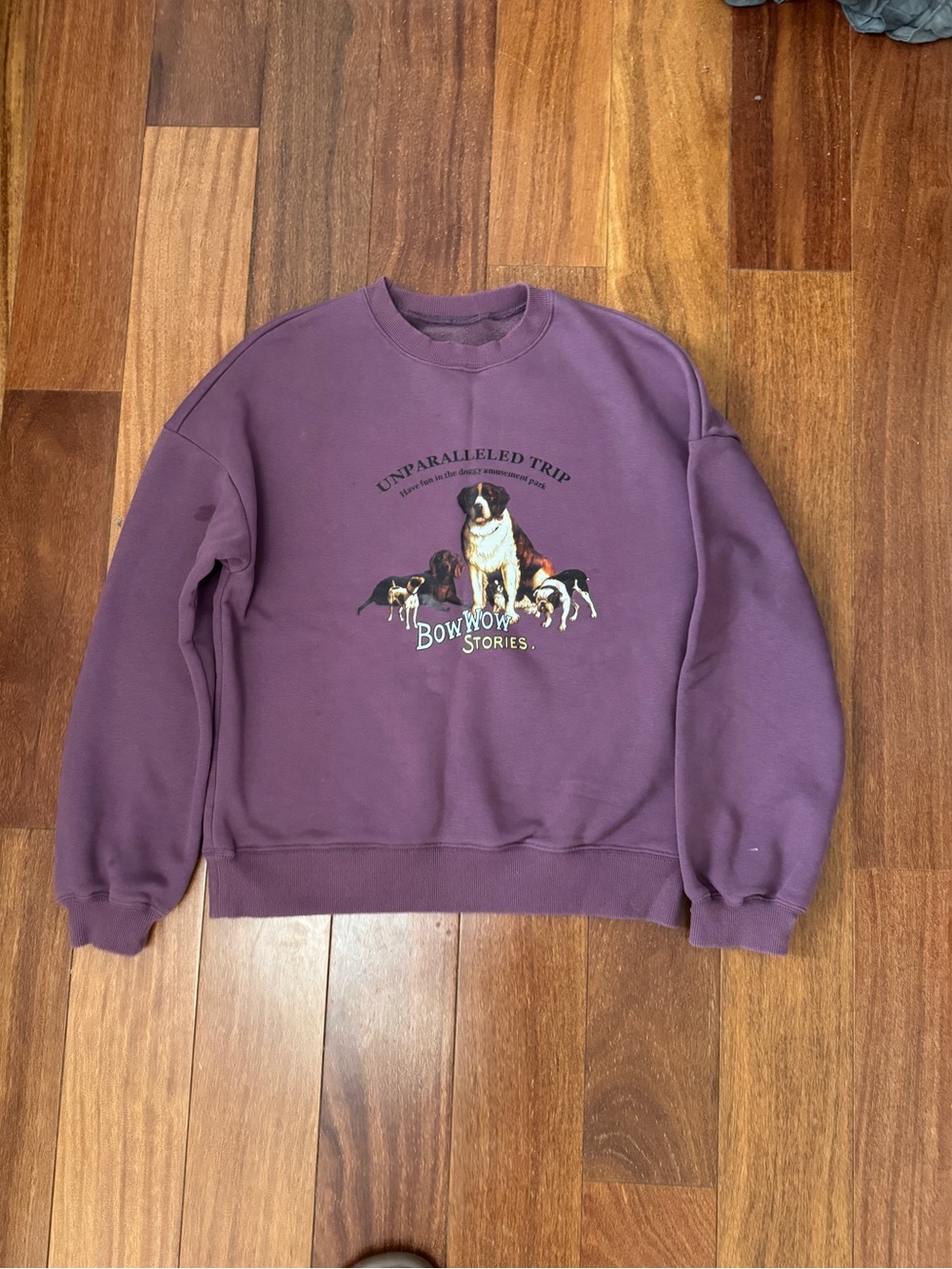 Purple  Sweatshirt